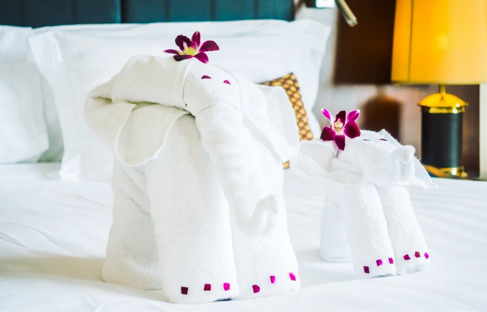 Hospitality One (60)